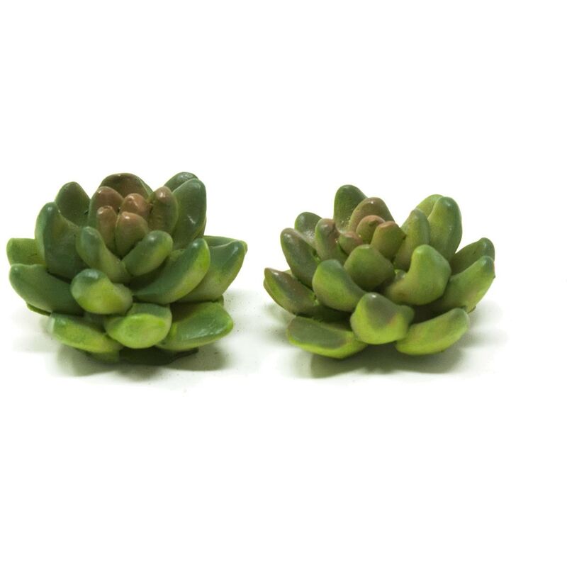 foto del prodotto piante grasse set da 2 pezzi 3x3x1,5 cm 11090