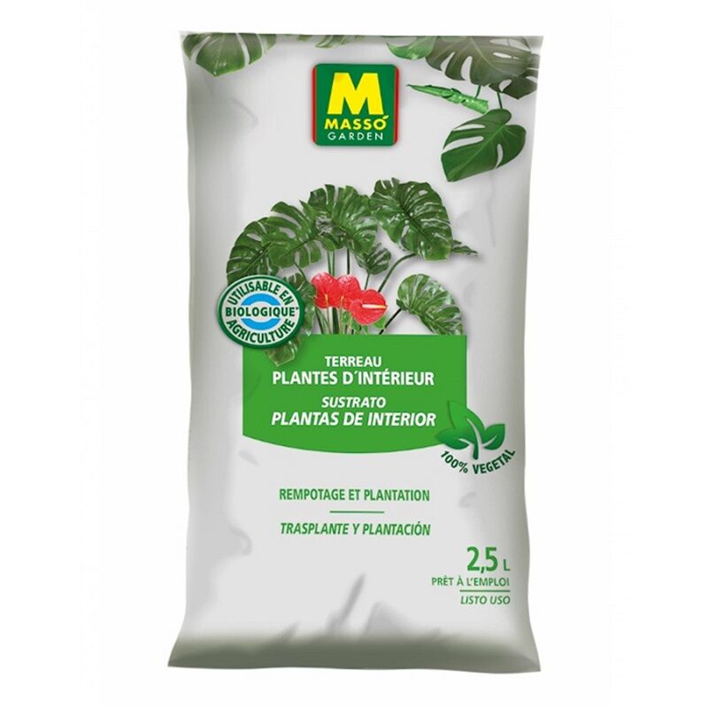 foto del prodotto piante interne del substrato del giardino masso 2,5 l