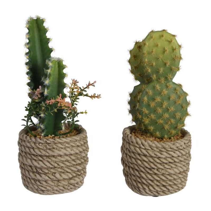 foto del prodotto piantina di cactus artificiale