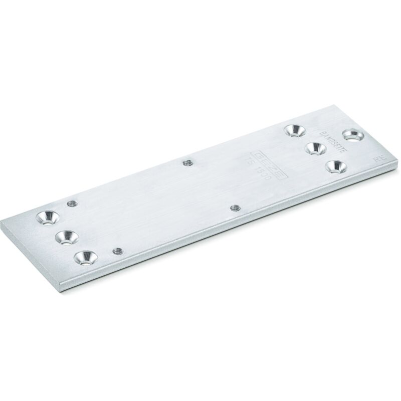 foto del prodotto piastra di montaggio argento per ts 1500