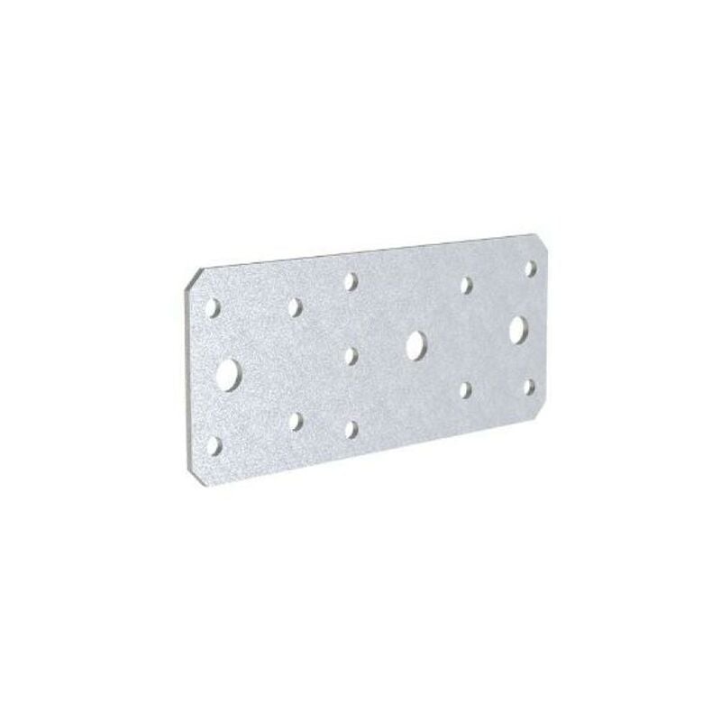 foto del prodotto piastra fissaggio friulsider viti e chiodi flv40 100