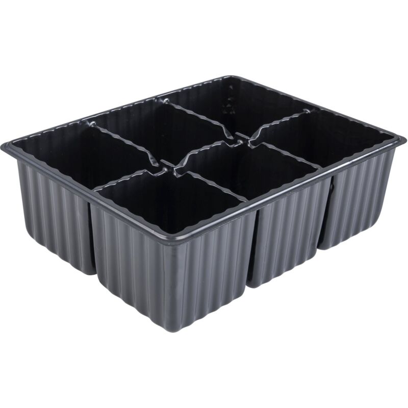 foto del prodotto piastra per semina 4 x 6 alveoli