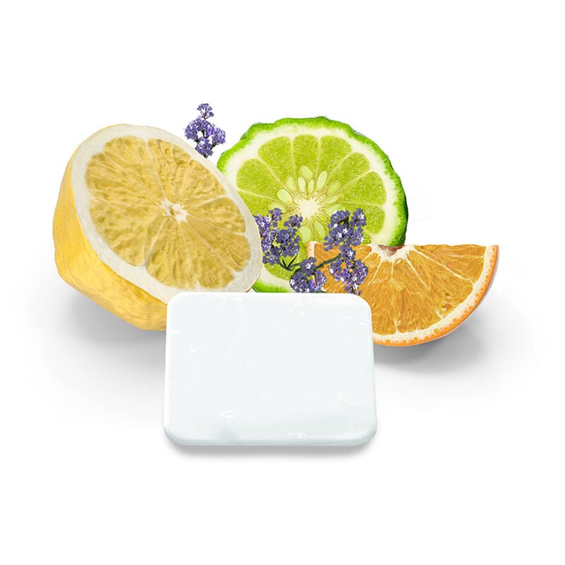 foto del prodotto piastre profumate per ionizzatore lima prestazioni acqua di colonia home deluxe