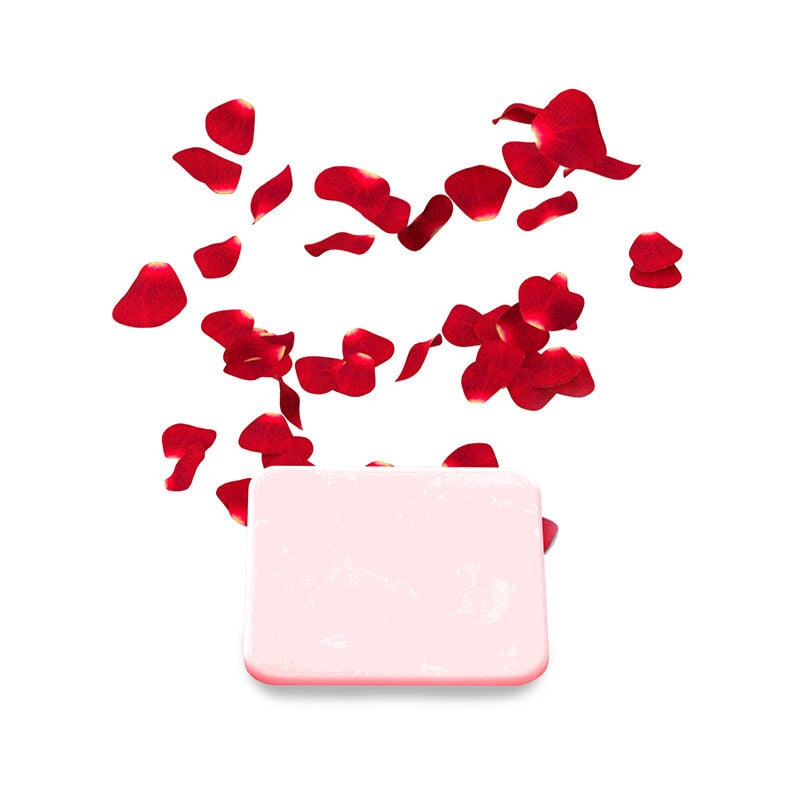 foto del prodotto piastre profumate per ionizzatore lima rosa delle prestazioni home deluxe