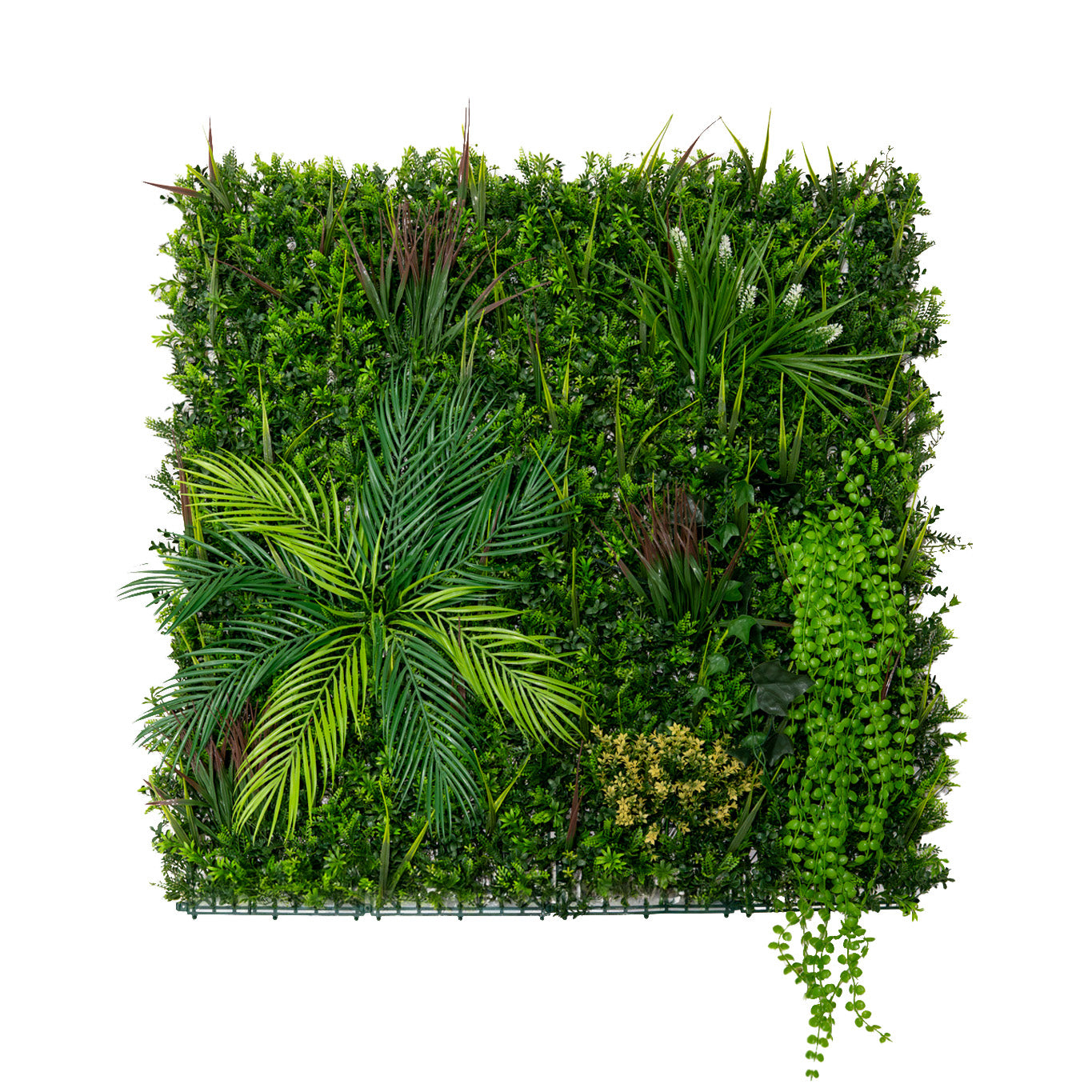 foto del prodotto piastrelle da parete con piante artificiali 1m x 1m pannello erba alina per giardino e arredo casa