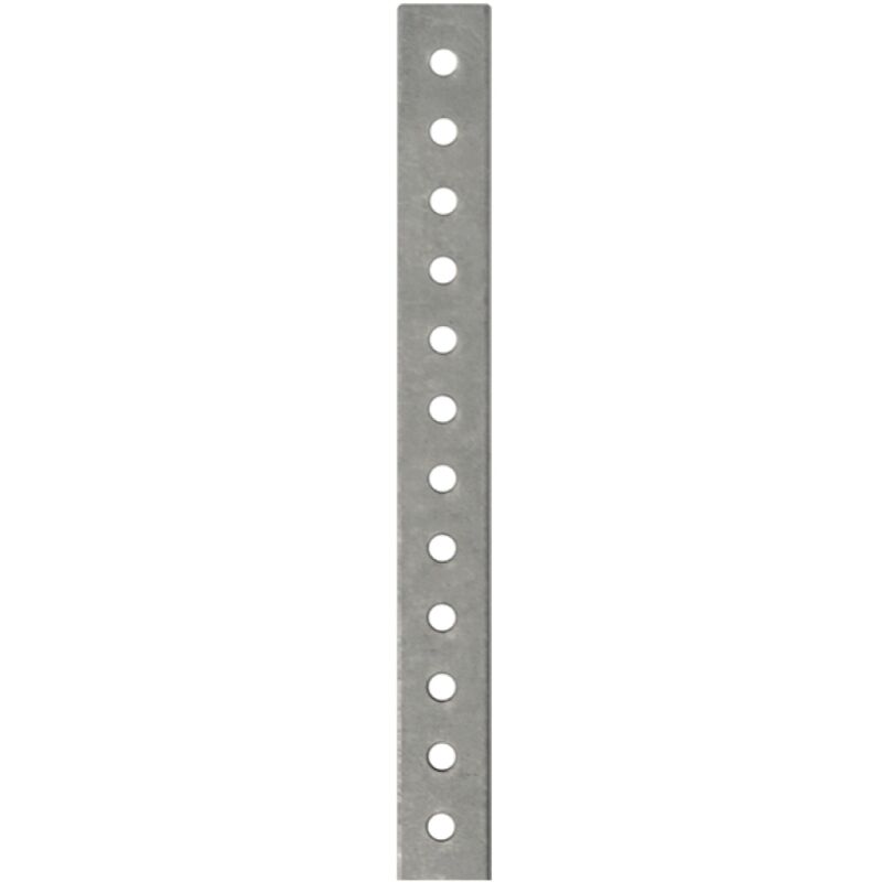 foto del prodotto piastrina forata pesante friulsider diametro 7 9mm da 100mm st100