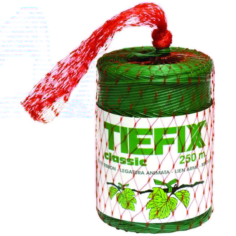 foto del prodotto piattina filo plasticato mt. 250 in rotolo