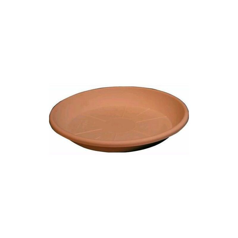 foto del prodotto piatto ecosimilcotto d.40 coccio set 5 pezzi arca