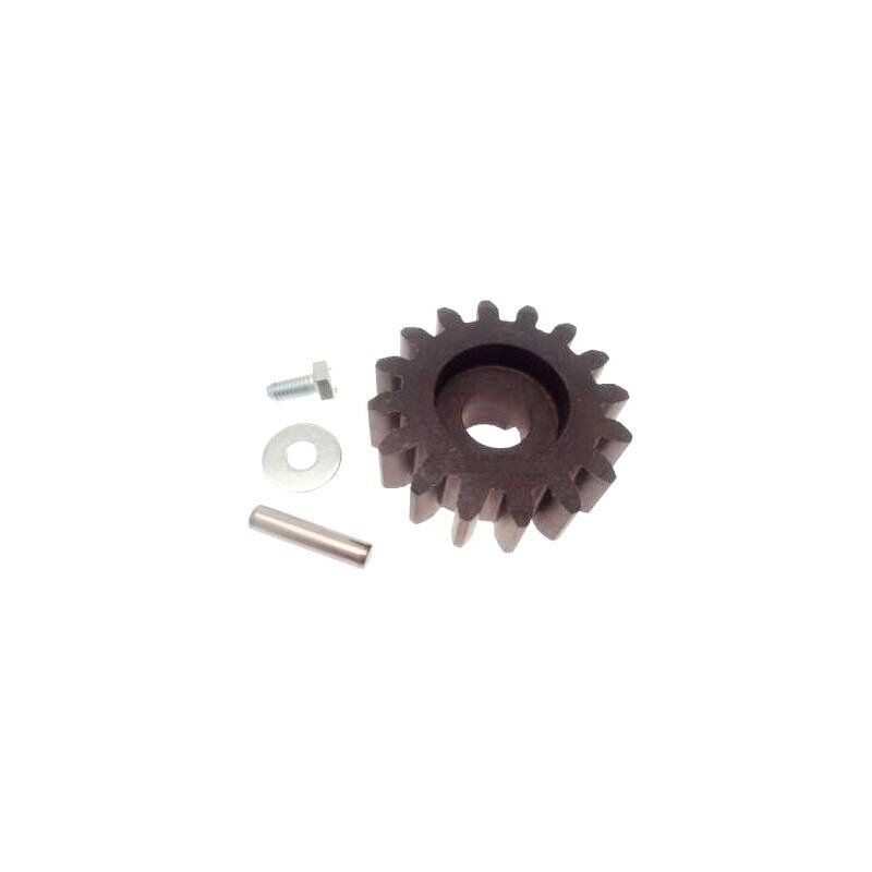 foto del prodotto pignone bz 119ribz005