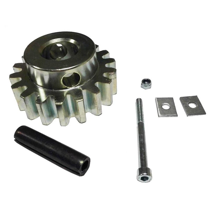foto del prodotto pignone came passo 4 per motori per bk 1200 1800 119ribk002