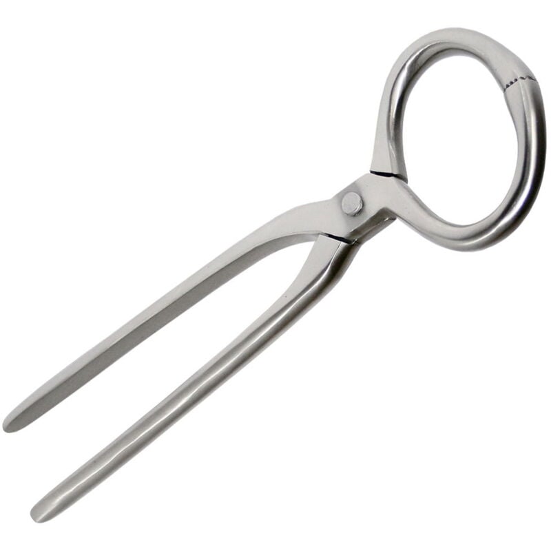 foto del prodotto pinza per sondare in acciaio inox lucidata pesante