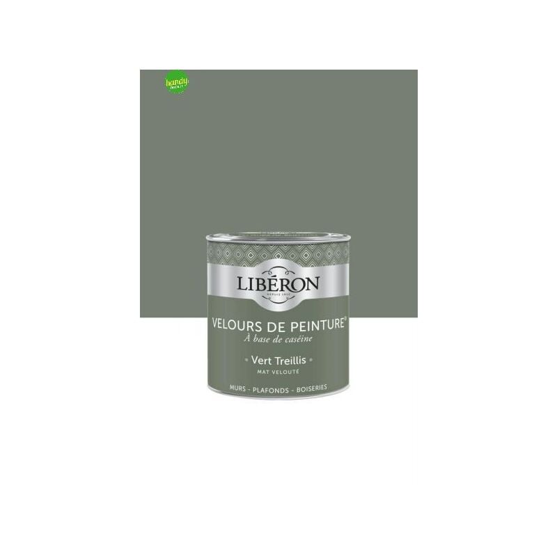 foto del prodotto pittura da interni liberon 500ml verde traliccio