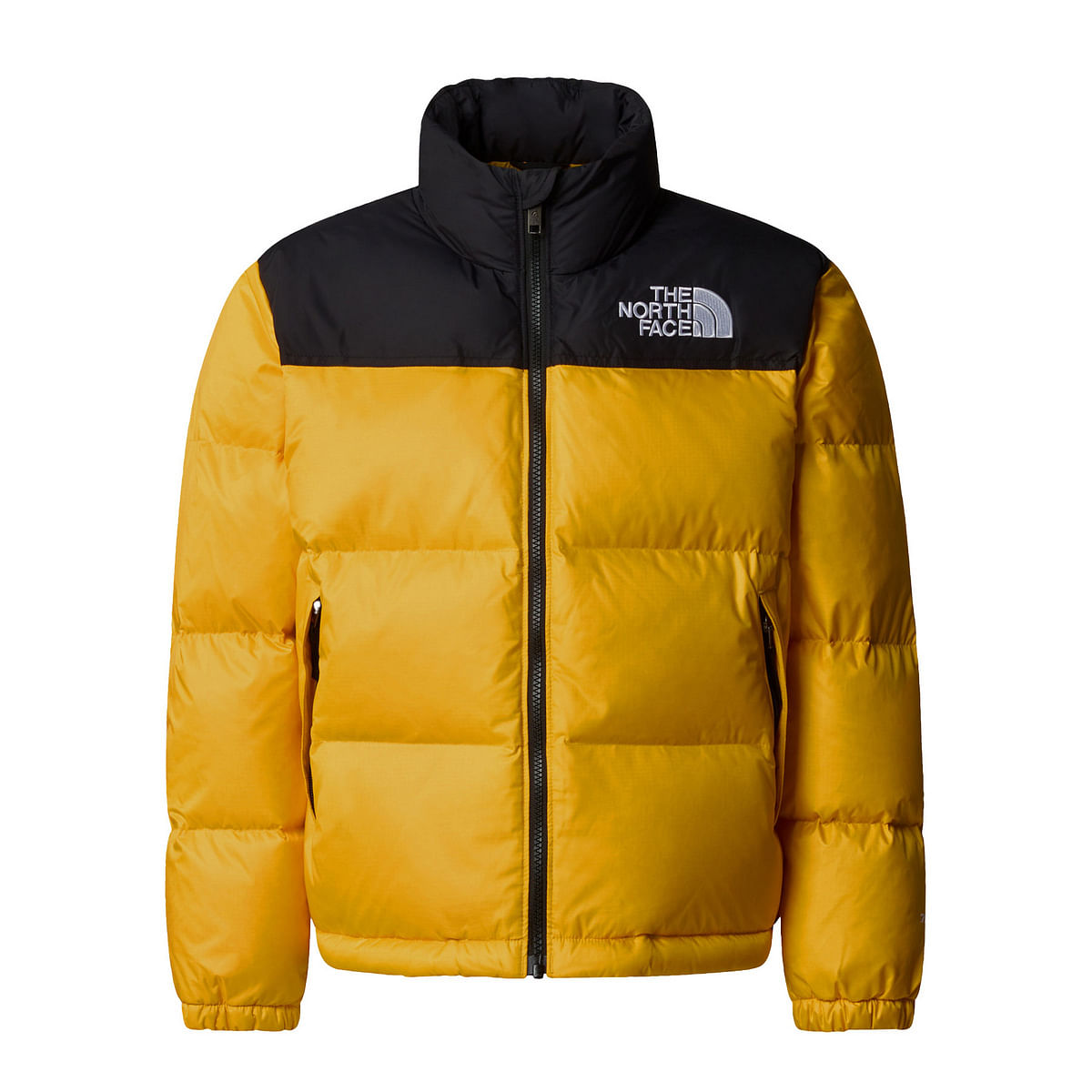 foto del prodotto piumino 1996 retro nuptse bambino