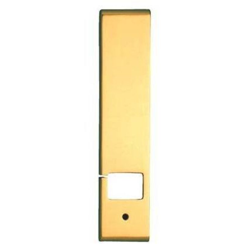 foto del prodotto placca avvolgitore incasso cottali mm 53x240 ottone lucido