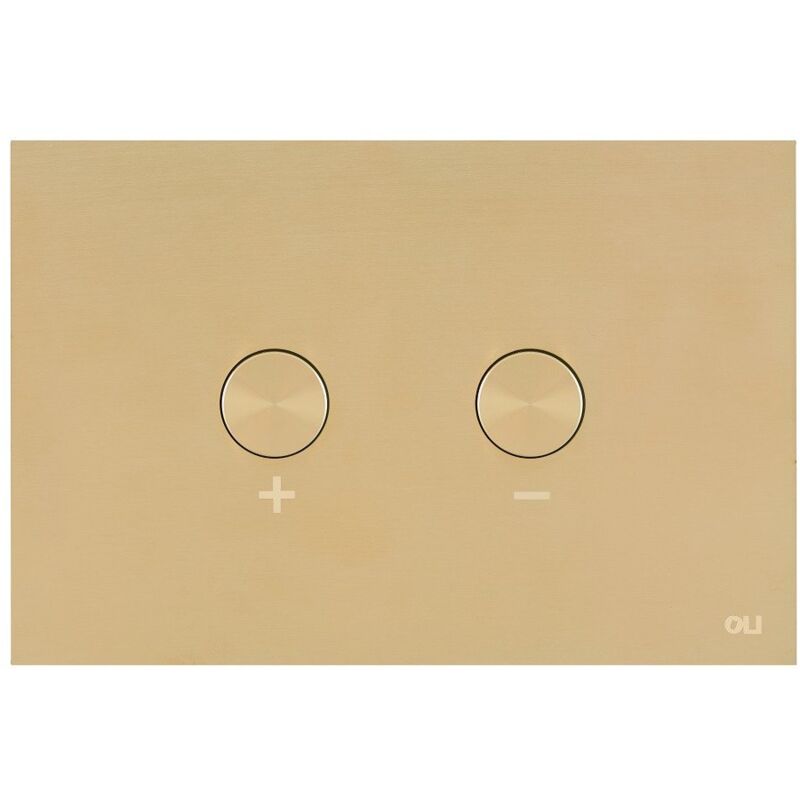 foto del prodotto placca doppio tasto blink oro cassetta incasso oli