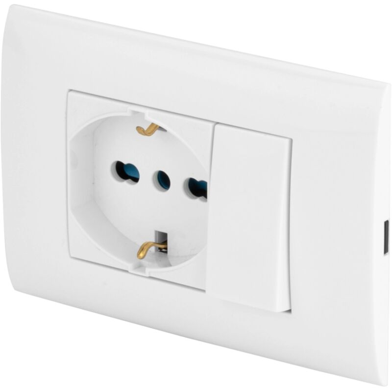 foto del prodotto placca premontata con presa pluristandard poly pool 10 16 a