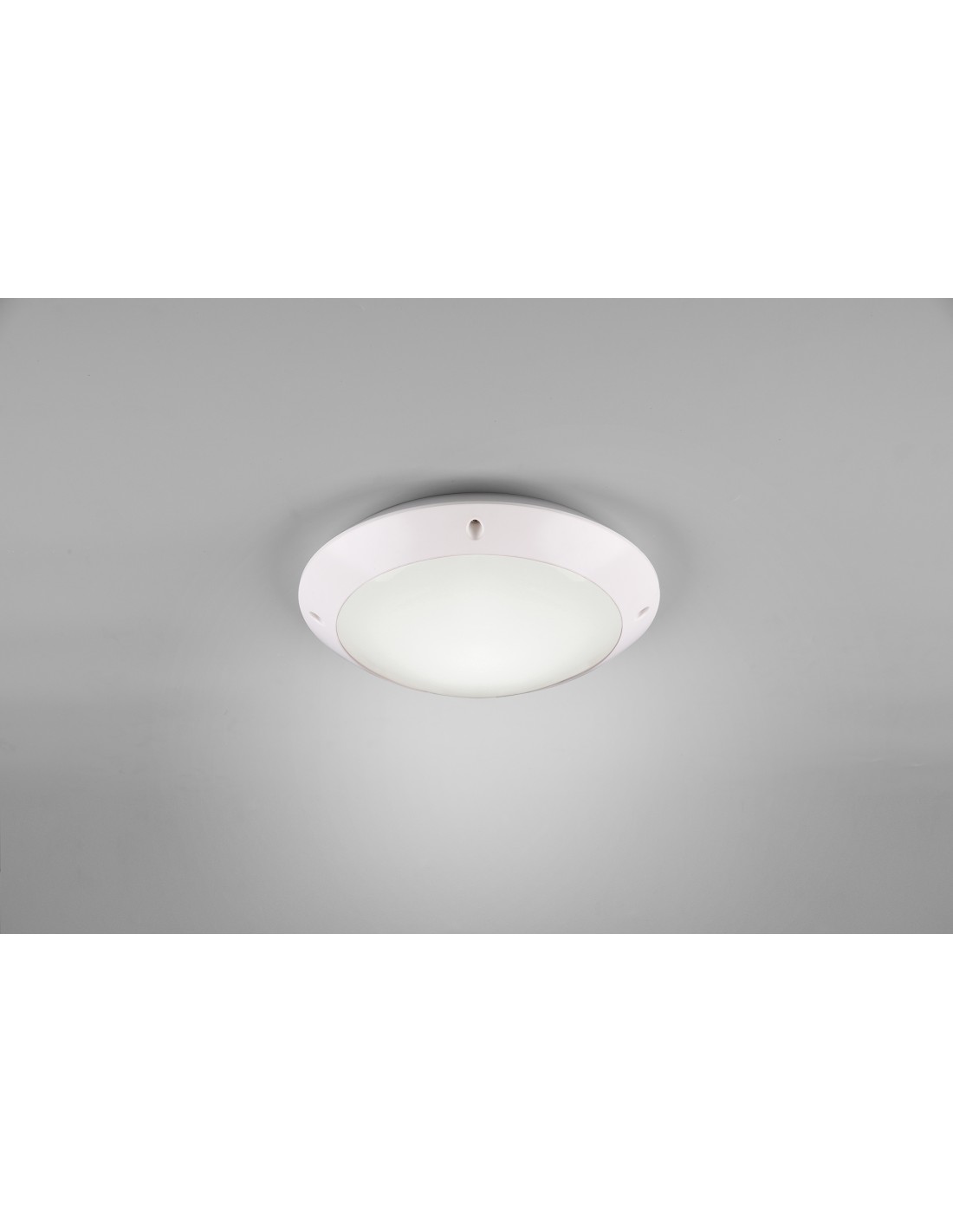 foto del prodotto plafoniera da esterno camaro bianco opaco ip54 26 cm trio lighting