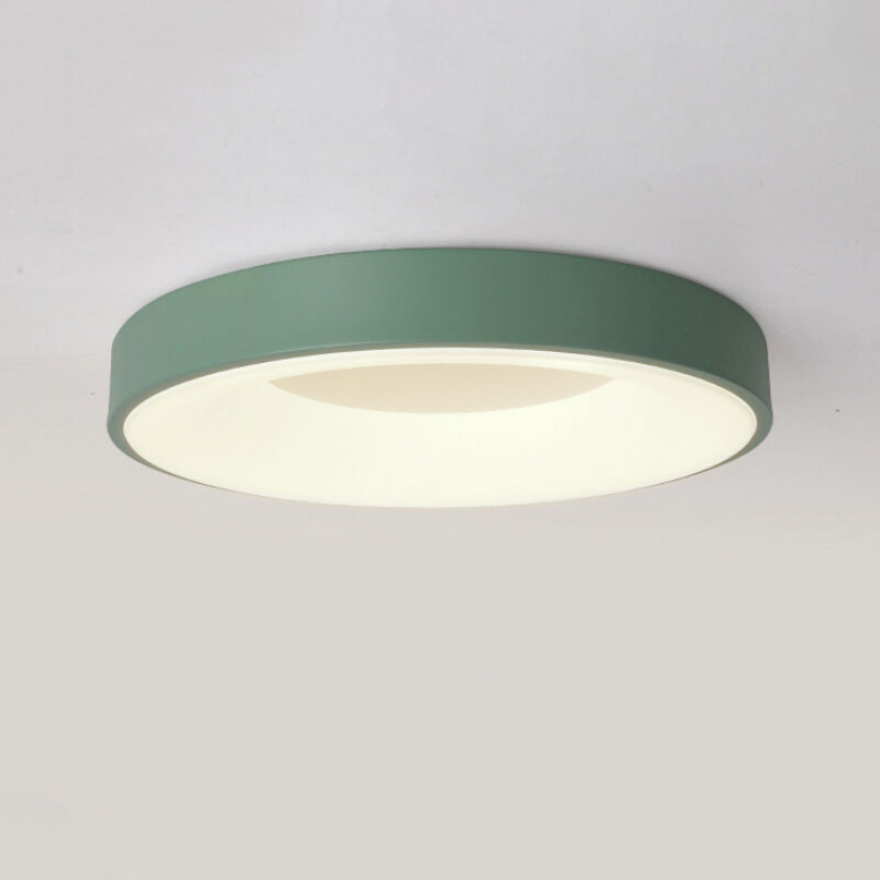 foto del prodotto plafoniera led soffitto moderno lampada da soffitto metallo illuminazione soffitto semplice 30cm 18w verde luce neutra