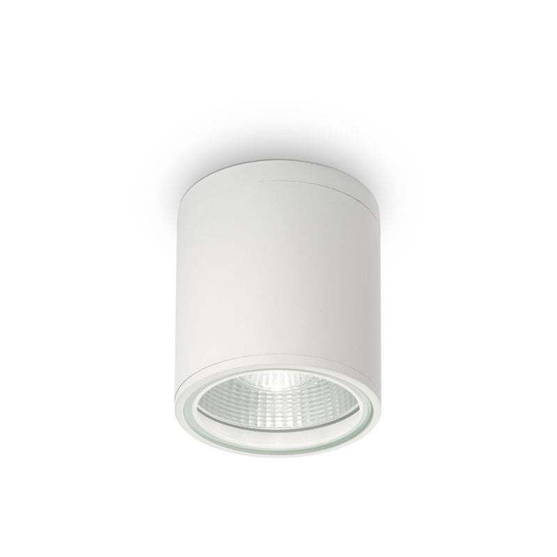foto del prodotto plafoniera moderna gun alluminio bianco 1 luce gu10