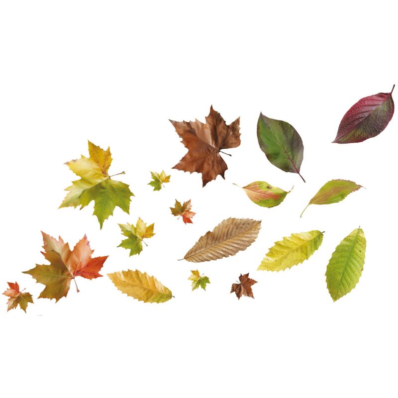 foto del prodotto plage 157011 adesivi murali stickers foglie d autunno, 2 fogli 29,7 x 21 cm