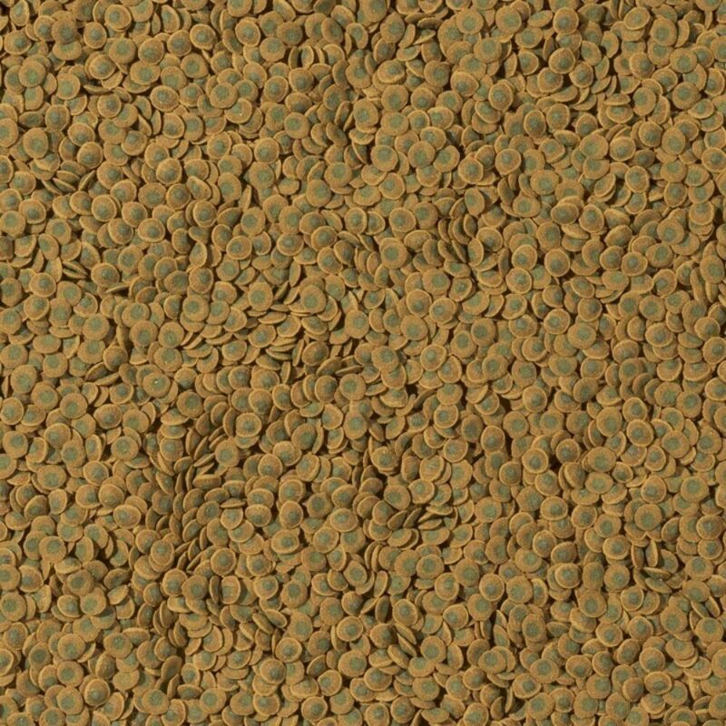 foto del prodotto pleco veggiewafer formato 100 ml tetra