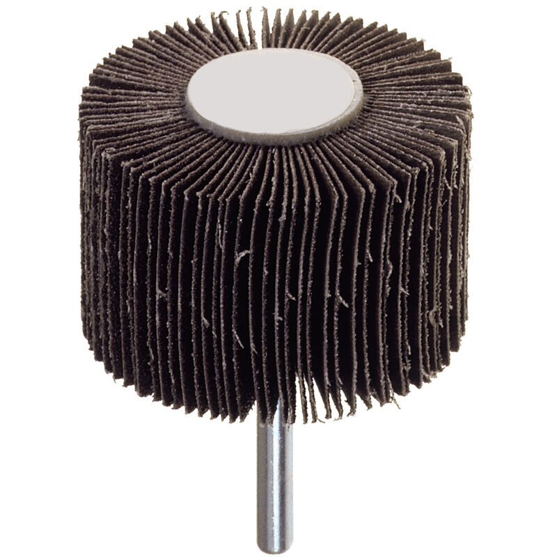 foto del prodotto poggi 358.50 ruota abrasiva lamellare d 50x20 mm