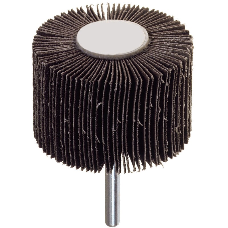 foto del prodotto poggi art. 358.50 ruota lamellare mm.50x20