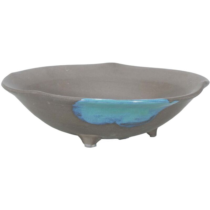 foto del prodotto pollice verde vaso bonsai kusamono cm. 18