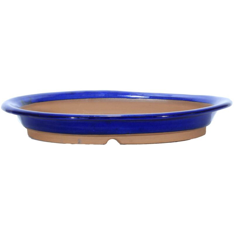 foto del prodotto pollice verde vaso bonsai ovale smaltato blu 34 cm.