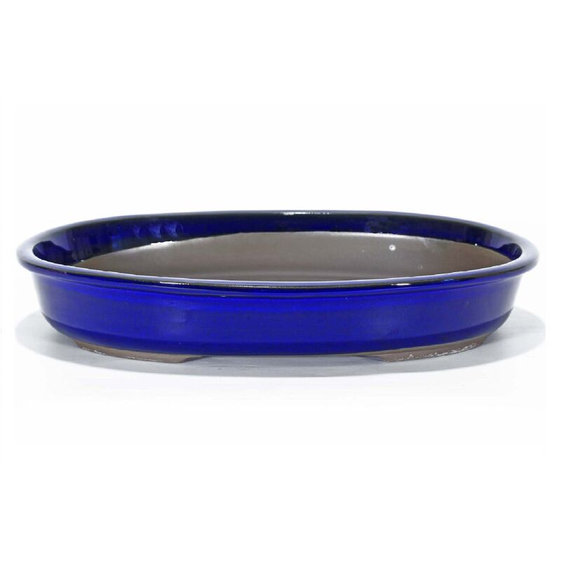foto del prodotto pollice verde vaso bonsai ovale smaltato blu 45 cm.