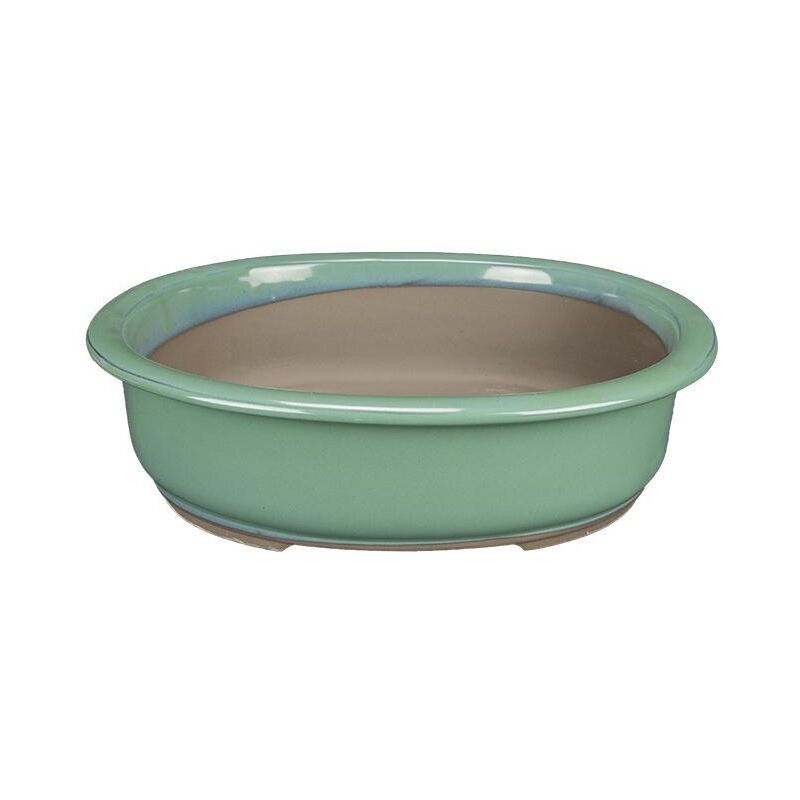 foto del prodotto pollice verde vaso bonsai ovale smaltato verde 18 cm