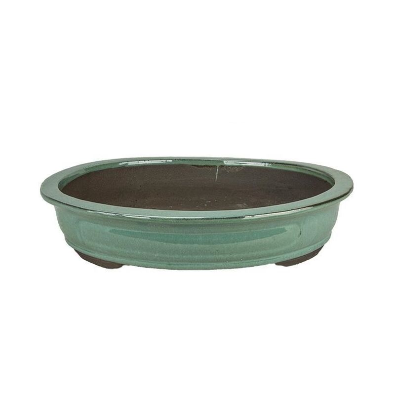 foto del prodotto pollice verde vaso bonsai ovale smaltato verde 40 cm.