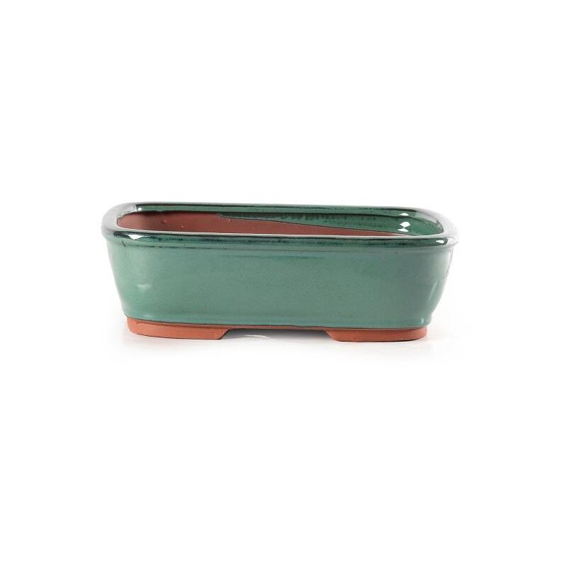 foto del prodotto pollice verde vaso bonsai rettangolare smaltato verde cm. 24