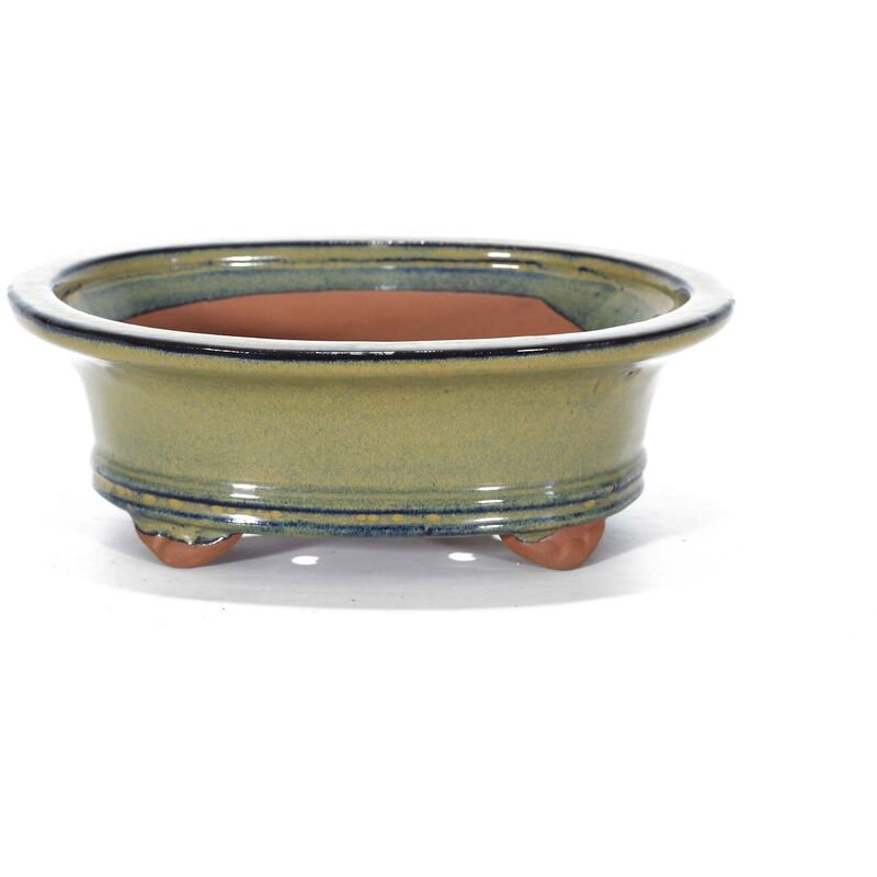 foto del prodotto pollice verde vaso bonsai smaltato ovale cm. 20 beige
