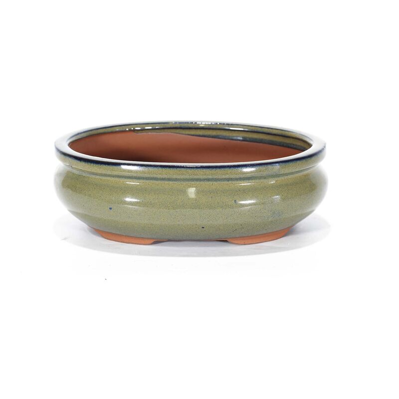 foto del prodotto pollice verde vaso bonsai smaltato ovale cm. 20 beige