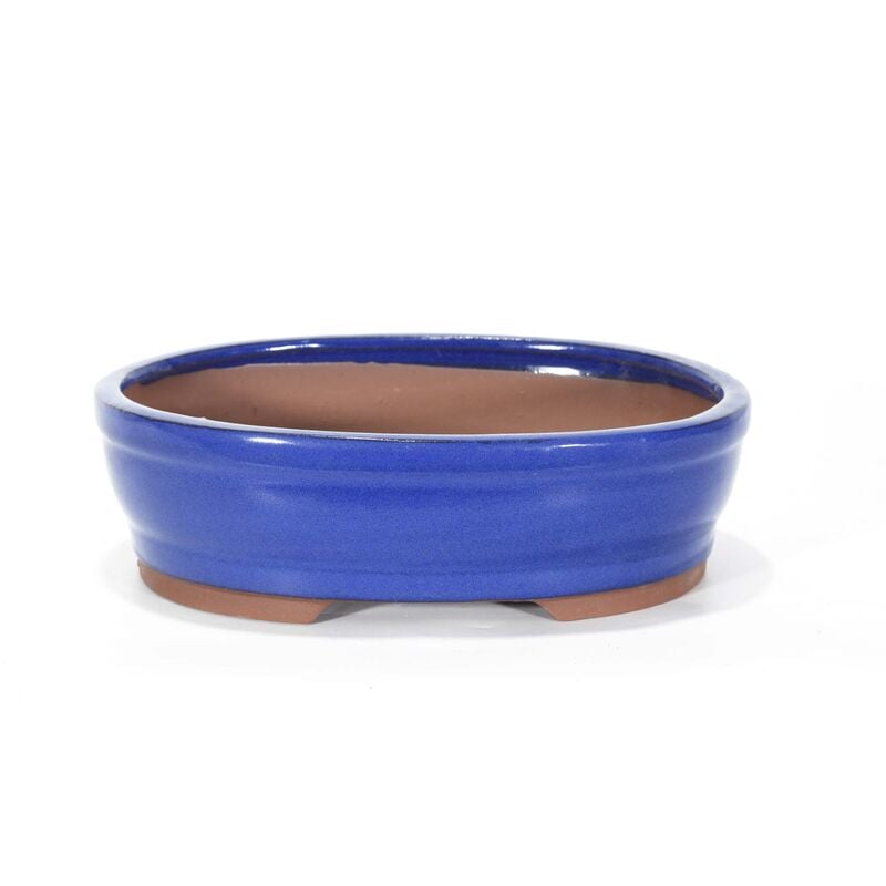 foto del prodotto pollice verde vaso bonsai smaltato ovale cm. 25 blu