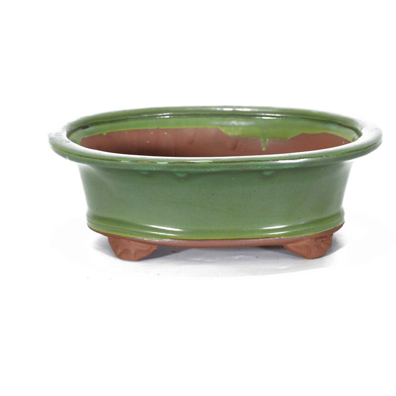 foto del prodotto pollice verde vaso bonsai smaltato ovale cm. 25 verde