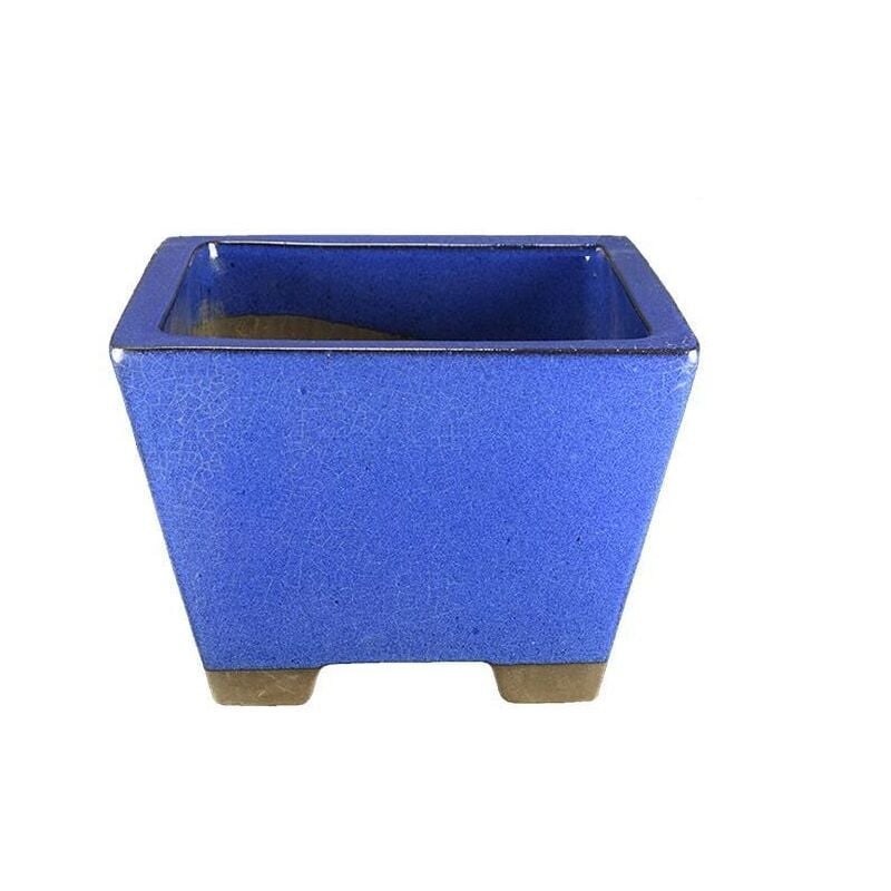 foto del prodotto pollice verde vaso bonsai smaltato quadrato blu 23 cm