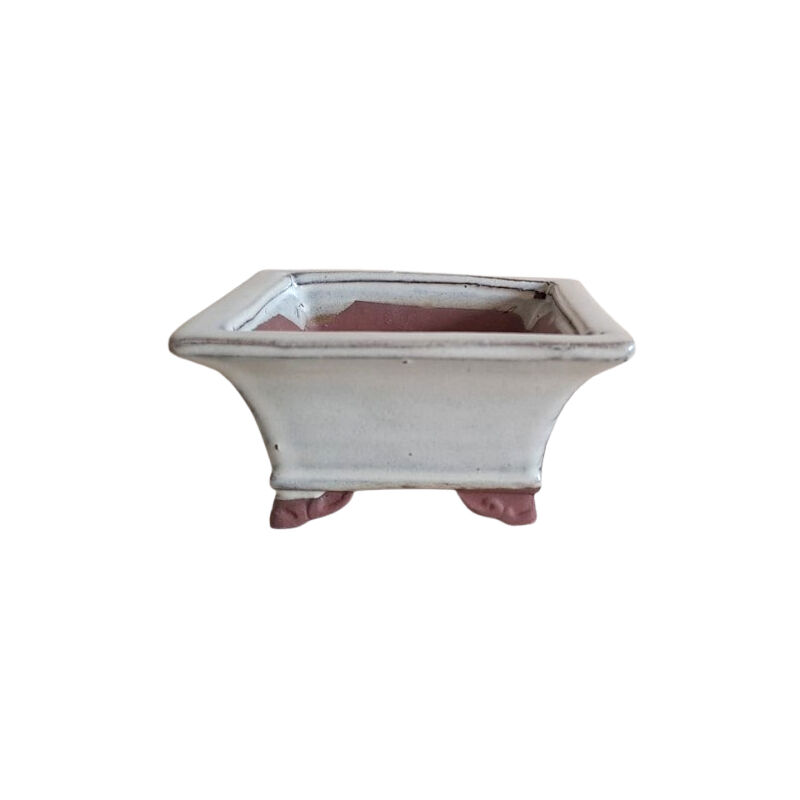 foto del prodotto pollice verde vaso bonsai smaltato quadrato cm. 12 avorio