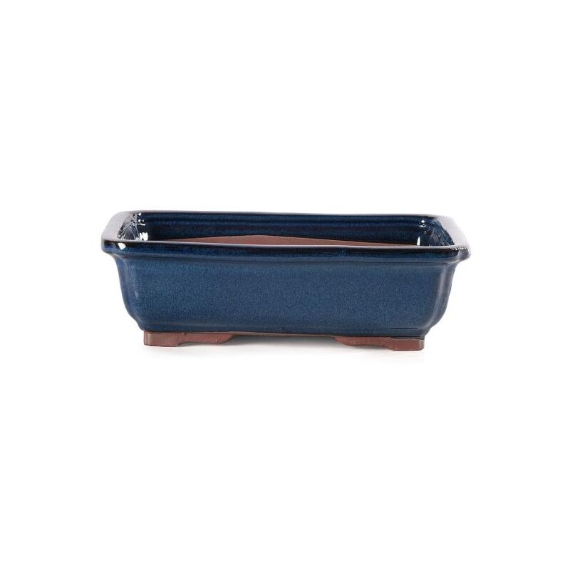 foto del prodotto pollice verde vaso bonsai smaltato rettangolare cm. 19 blu