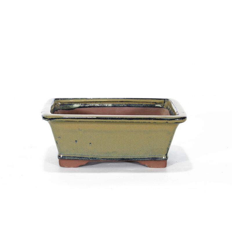 foto del prodotto pollice verde vaso bonsai smaltato rettangolare cm. 25 beige