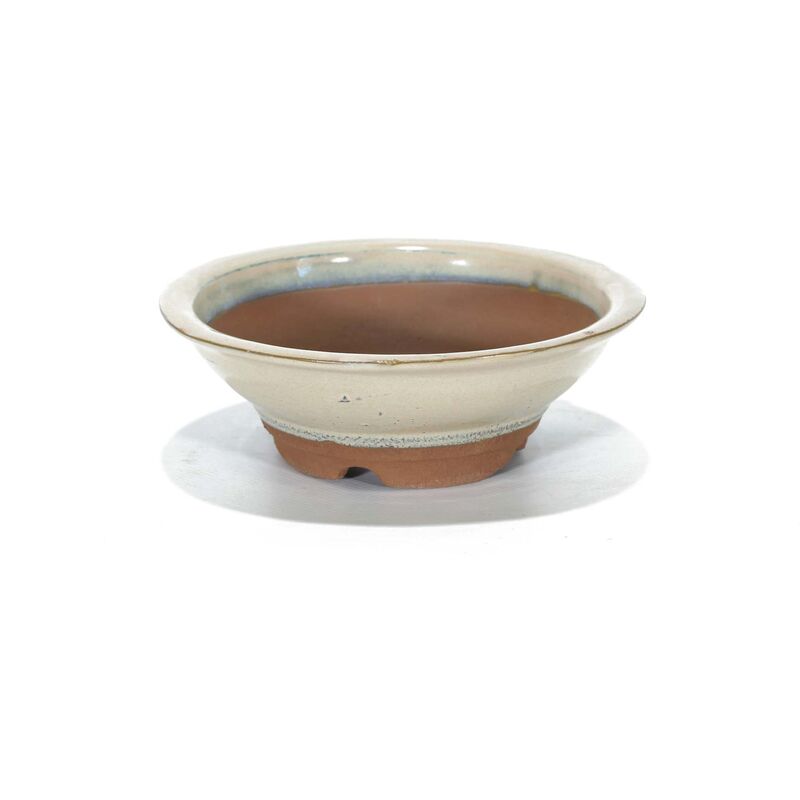 foto del prodotto pollice verde vaso bonsai smaltato tondo 15 cm avorio