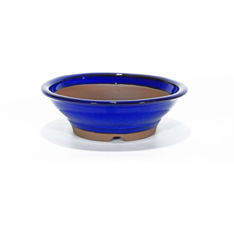 foto del prodotto pollice verde vaso bonsai smaltato tondo 19 cm blu