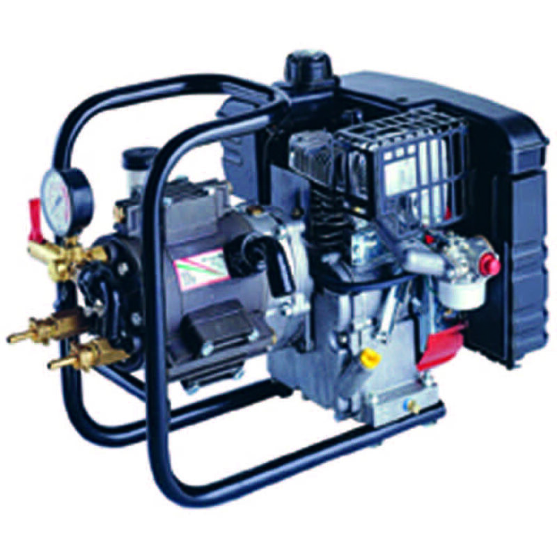 foto del prodotto pompa alta pressione dl325 motore 4t 5 hp con supporto per irrorazione
