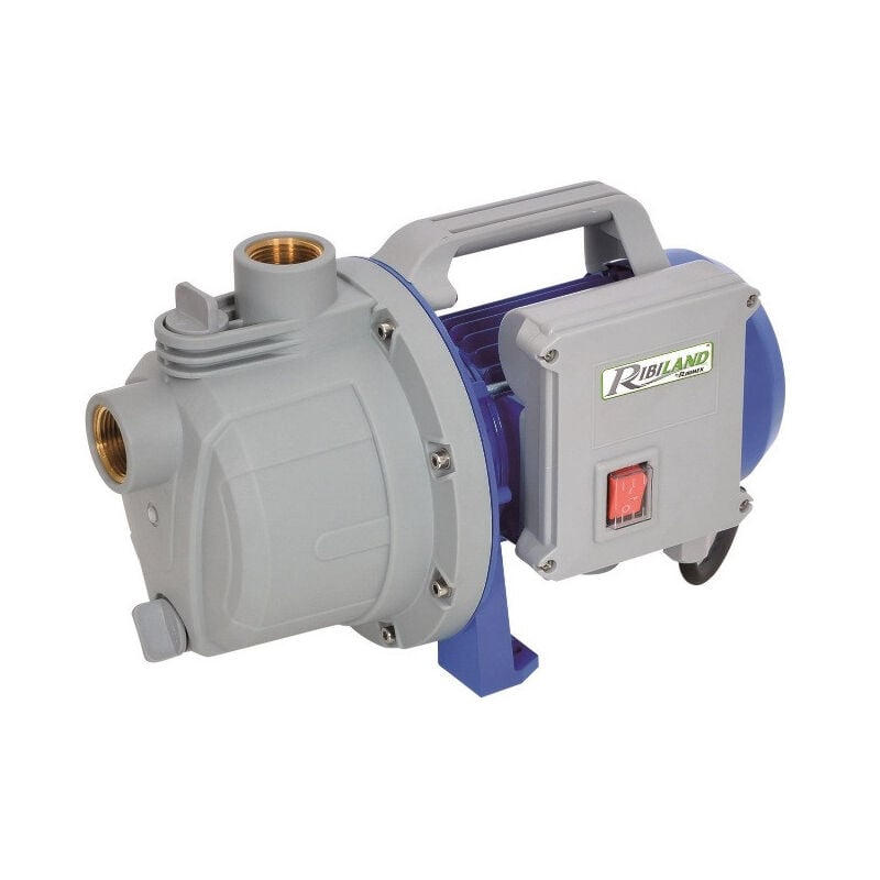 foto del prodotto pompa autoadescante per acqua di superficie da 400 w