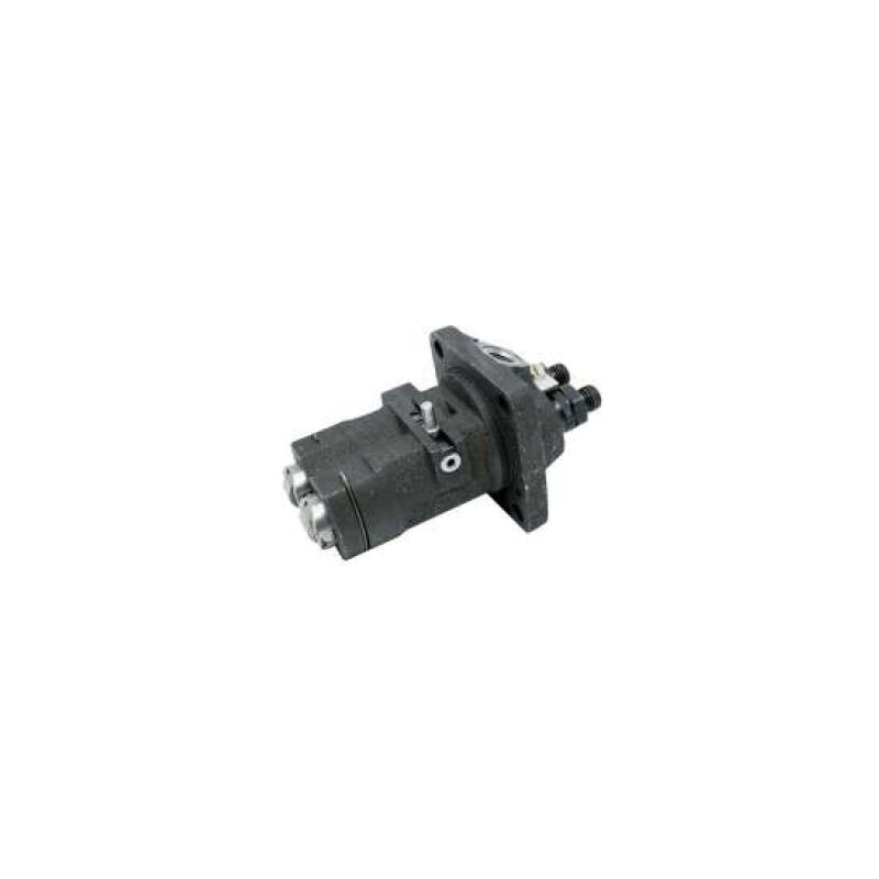 foto del prodotto pompa iniezione motore diesel lombardini ruggerini rd180 rd200 rd208 rd210