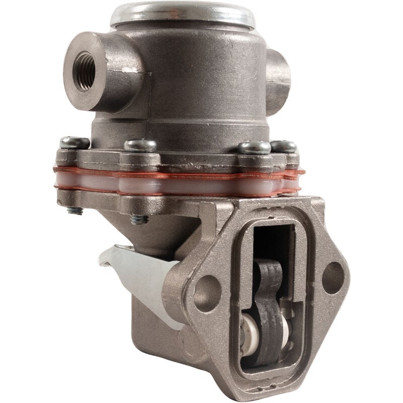 foto del prodotto pompa nafta a membrana adattabile slanzi 4850.039