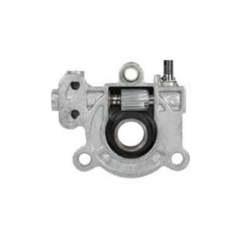 foto del prodotto pompa olio motosega alpina p680 originale