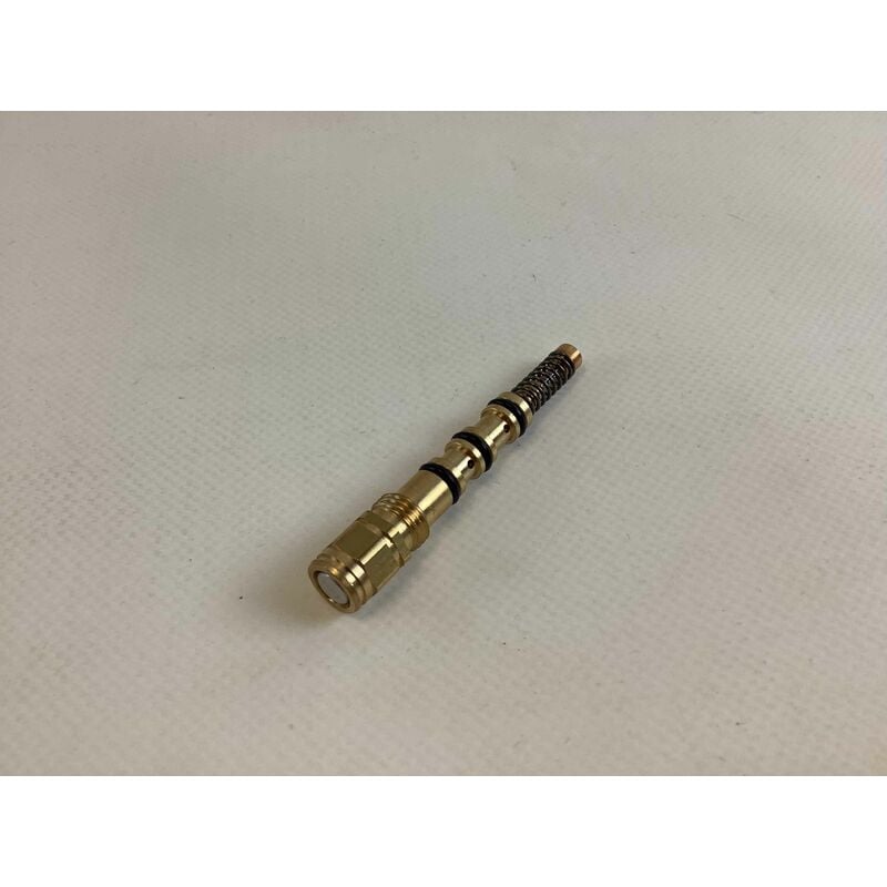 foto del prodotto pompa olio motosega elettrosega p34 pr350 originale ggp alpina stiga