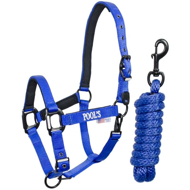 foto del prodotto pool s pony, fucsia cavezza in nylon completa di lunghina con imbottitura in neoprene e doppia regolazione fibbie nere